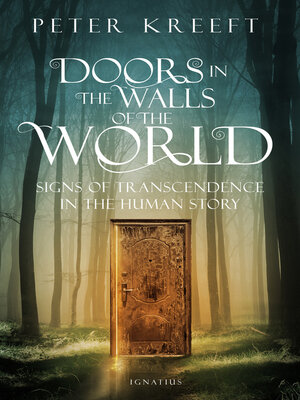 cover image of Doors in the Walls of the World